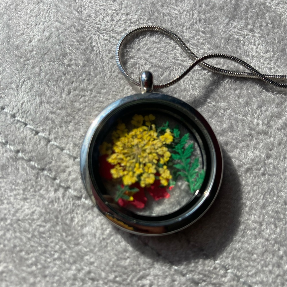 NWOT: Clear locket 17” necklace with dried flowers